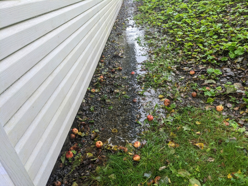 Pooling Water Beside House Foundation