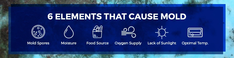 six elements that cause mold six elements that cause mold