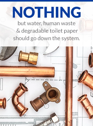 only human waste and toilet paper should enter system only human waste and toilet paper should enter system