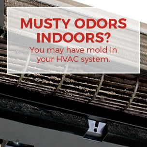 musty indoor odors musty indoor odors