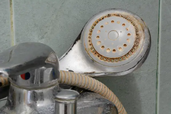 Dirty shower head with limescale and rust | Mr. Rooter Plumbing